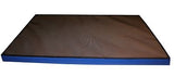 Disinfecting Foot Mat 90, 24" x 35" x 1.6"  (DFMat90) - Shadow Boards & Cleaning Products for Workplace Hygiene | Atesco Industrial Hygiene